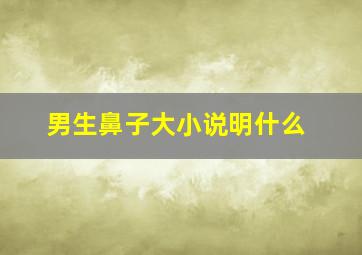 男生鼻子大小说明什么