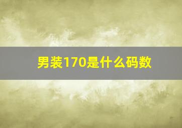 男装170是什么码数