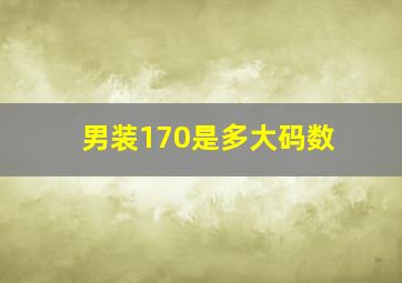 男装170是多大码数