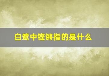 白鹭中铿锵指的是什么