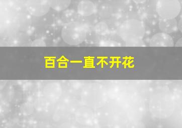 百合一直不开花