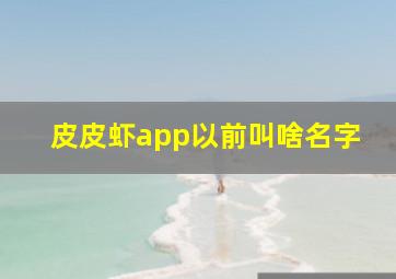 皮皮虾app以前叫啥名字