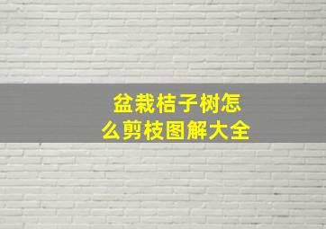 盆栽桔子树怎么剪枝图解大全