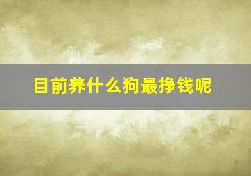 目前养什么狗最挣钱呢