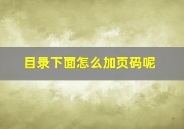 目录下面怎么加页码呢