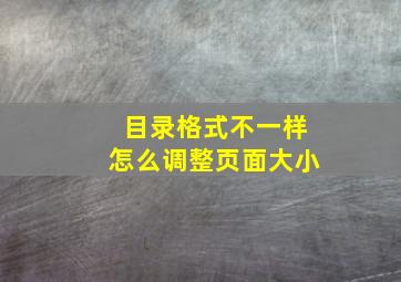 目录格式不一样怎么调整页面大小