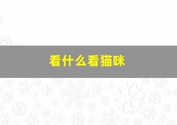 看什么看猫咪