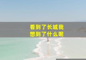 看到了长城我想到了什么呢