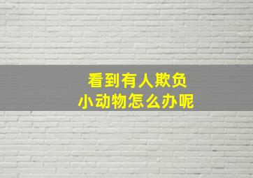 看到有人欺负小动物怎么办呢