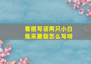 看图写话两只小白兔采蘑菇怎么写呀