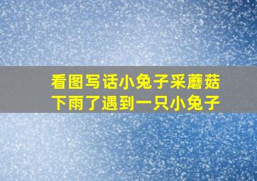 看图写话小兔子采蘑菇下雨了遇到一只小兔子