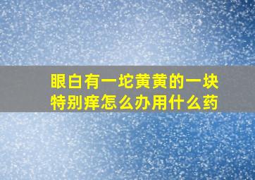 眼白有一坨黄黄的一块特别痒怎么办用什么药