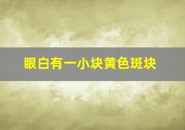 眼白有一小块黄色斑块