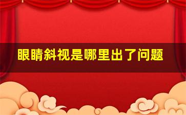 眼睛斜视是哪里出了问题