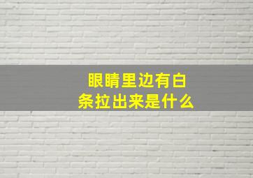 眼睛里边有白条拉出来是什么