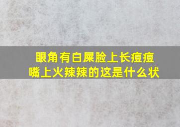 眼角有白屎脸上长痘痘嘴上火辣辣的这是什么状