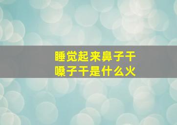 睡觉起来鼻子干嗓子干是什么火