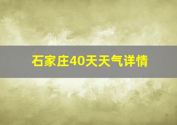 石家庄40天天气详情