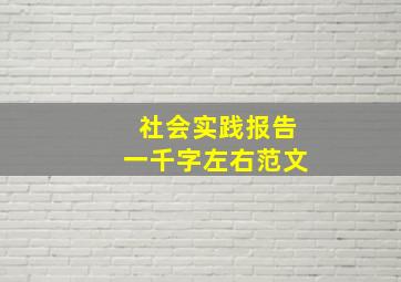 社会实践报告一千字左右范文