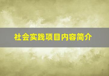 社会实践项目内容简介