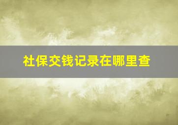 社保交钱记录在哪里查