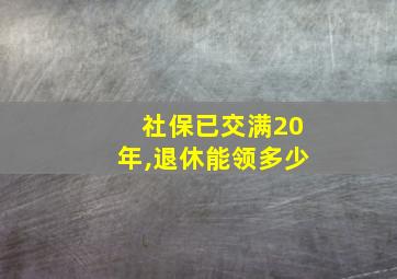 社保已交满20年,退休能领多少