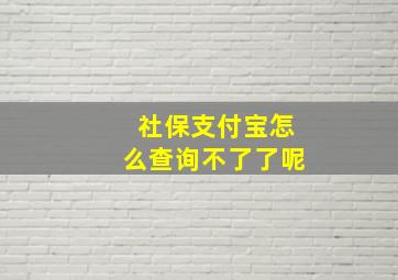 社保支付宝怎么查询不了了呢