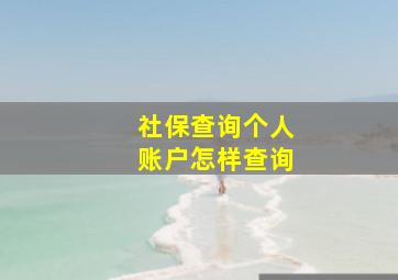 社保查询个人账户怎样查询