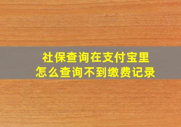 社保查询在支付宝里怎么查询不到缴费记录