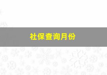 社保查询月份