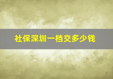 社保深圳一档交多少钱