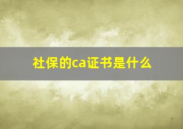 社保的ca证书是什么