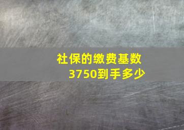 社保的缴费基数3750到手多少