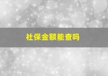 社保金额能查吗