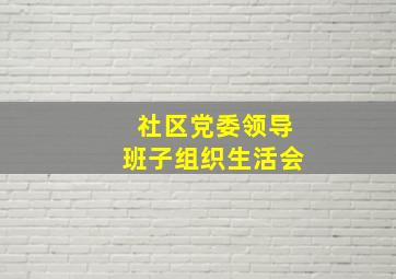 社区党委领导班子组织生活会