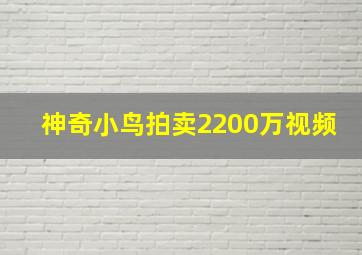 神奇小鸟拍卖2200万视频