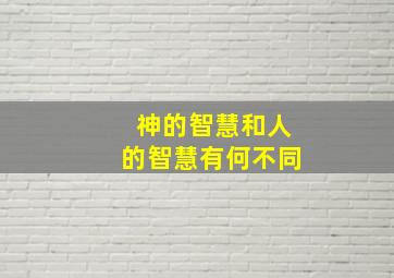 神的智慧和人的智慧有何不同