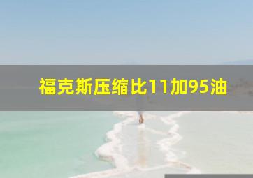 福克斯压缩比11加95油