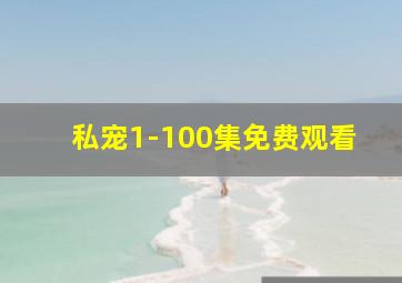 私宠1-100集免费观看