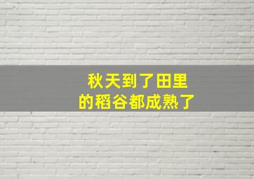 秋天到了田里的稻谷都成熟了