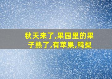 秋天来了,果园里的果子熟了,有苹果,鸭梨