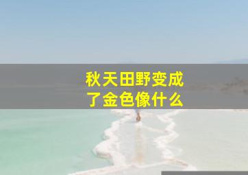 秋天田野变成了金色像什么