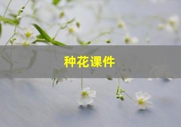 种花课件