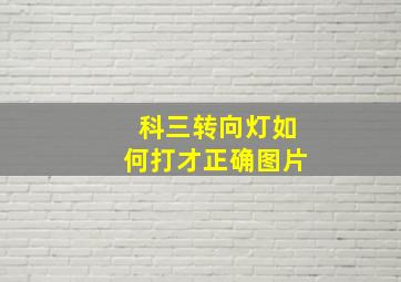 科三转向灯如何打才正确图片