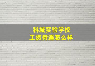 科城实验学校工资待遇怎么样