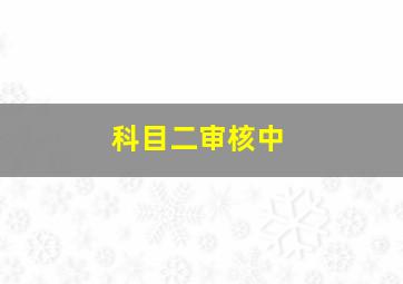 科目二审核中