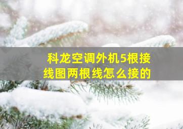 科龙空调外机5根接线图两根线怎么接的