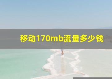 移动170mb流量多少钱