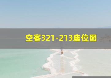 空客321-213座位图