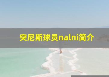 突尼斯球员nalni简介